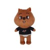 iFii Peluche Skzoo Stray Kids de 20 cm/8 pouces, jouets en peluche doux Skz de dessin animé Wolf Chan/Han Quokka/Dwaekki pour