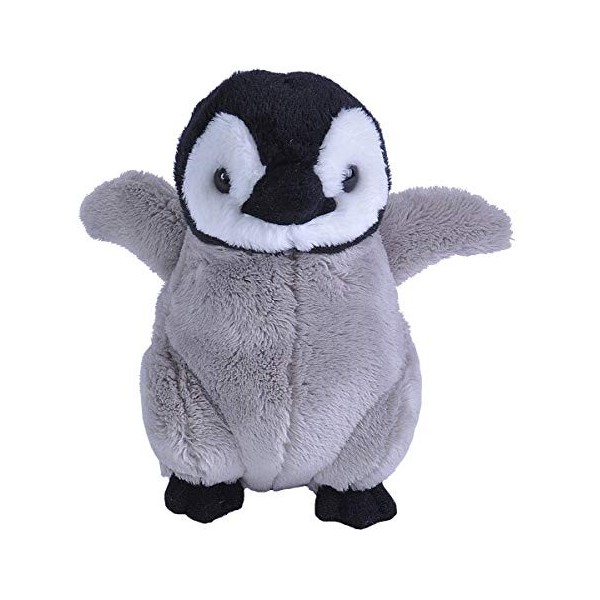 Wild Republic Peluche Poussin Pingouin ludique, Cuddlekins lils´doudouier, Cadeaux pour Enfants, 13 cm, 23507, Multicolore