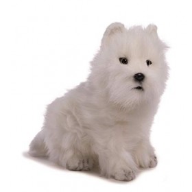Anima - Peluche Chien Westie 31 cm 31xcm