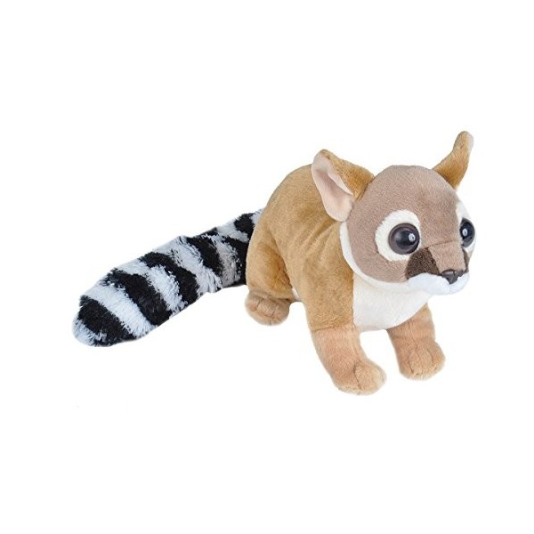 Wild Republic Peluche Bassaris Rusé Cuddlekins, Jouets, 30cm