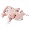 Nattou Peluche dActivité Alice Le Renard, en Polyester, avec différentes Activités, env. 60 cm, Alice et Pomme, Rose