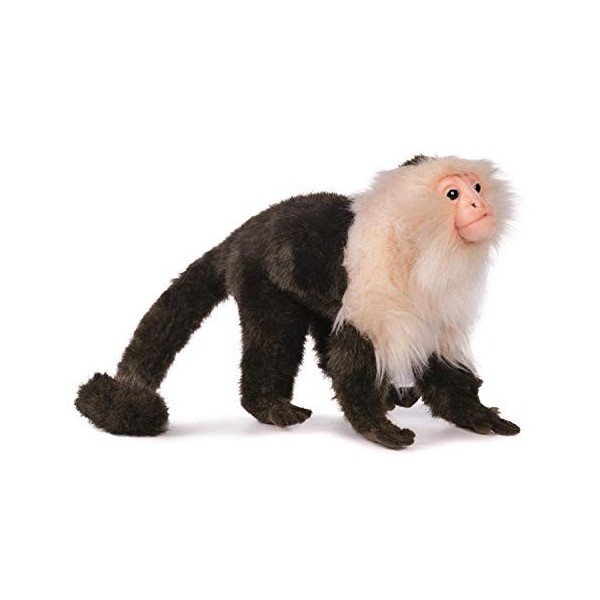 Hansa - Peluche Singe Capucin 20cmH/25cmL