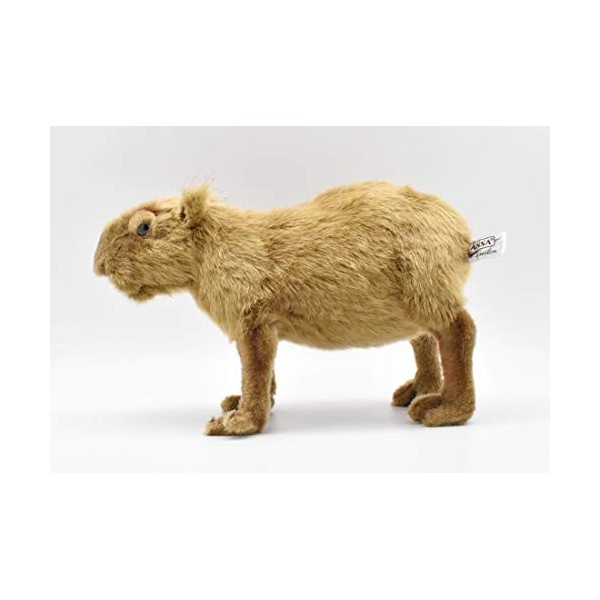 HANSA Peluche Capybara Cabiaï 31cmL