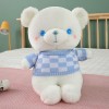 Mignon Pull Géant Ours en Peluche Jouet Animal Oreiller Kawaii Ours Poupée Coussin Saint Valentin Cadeau Anniversaire Cadeau 