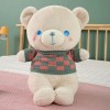 Mignon Pull Géant Ours en Peluche Jouet Animal Oreiller Kawaii Ours Poupée Coussin Saint Valentin Cadeau Anniversaire Cadeau 