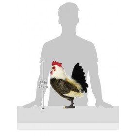 Hansa Coq 45cmH