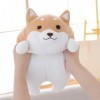 Animaux en peluche mignons, chiens, Shiba Inu en peluche, jouets pour chiens, oreillers, carlins, jouets de décoration intéri