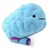 Big Brain Plush - All You Need Is Lobe! - I Heart Guts Series