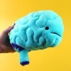 Big Brain Plush - All You Need Is Lobe! - I Heart Guts Series