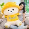 Nouveau Mignon Ours en Peluche Oreiller en Peluche Poupée Fille Jouet en Peluche Animal Enfants Anniversaire Noël Noël Cadeau