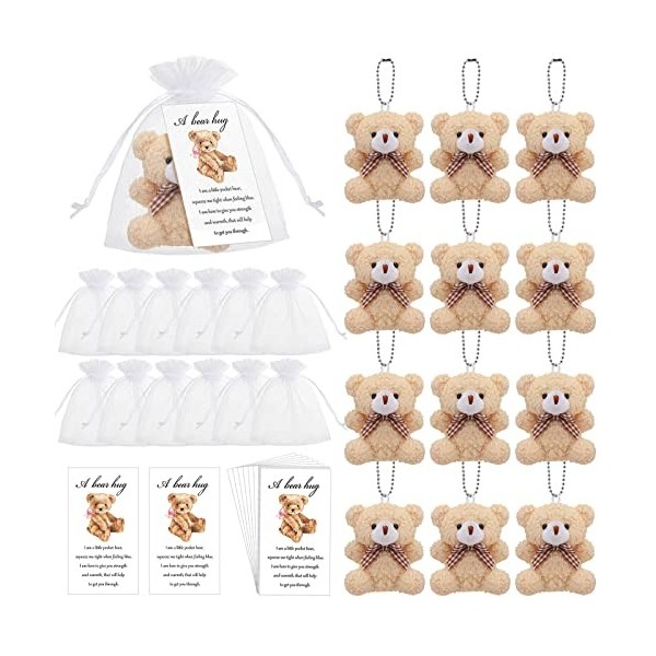 Zhanmai Lot de 12 mini ours en peluche - Cadeau de condoléances pour enfants - Carte cadeau inspirante en organza blanc styl