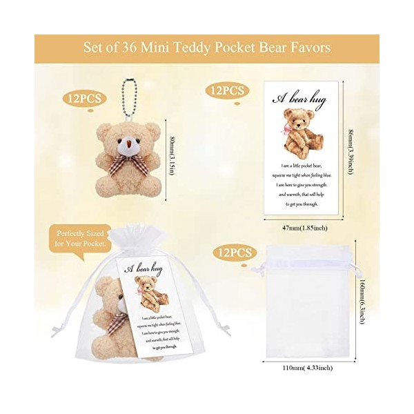 Zhanmai Lot de 12 mini ours en peluche - Cadeau de condoléances pour enfants - Carte cadeau inspirante en organza blanc styl