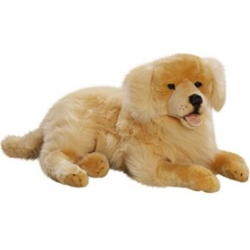 Carl Dick Peluche Golden Retriever couché, 60cm 2699