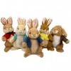 Peter Rabbit 2 - Peter Lapin et amis - Doudou en peluche - 22 cm - Lapin original en peluche lapin - Film cinéma 2021 - Un la