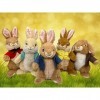 Peter Rabbit 2 - Peter Lapin et amis - Doudou en peluche - 22 cm - Lapin original en peluche lapin - Film cinéma 2021 - Un la