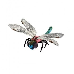 Kuscheltiere.biz Lola Libellule en peluche de qualité supérieure - Rose/vert