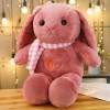 Belle Longues Oreilles Lapin en Peluche Jouet Doux Dessin Animé Animal en Peluche Poupée Canapé Oreiller Enfants Cadeaux D’An