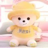 Nouveau Mignon Ours en Peluche Oreiller en Peluche Poupée Fille Jouet en Peluche Animal Enfants Anniversaire Noël Noël Cadeau