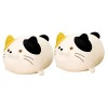 Toyvian 5 Pièces Oreiller Chat en Peluche Animal en Peluche Chaton Jouet Pelucheux pour Chat Coussin en Peluche Animal Jouet 