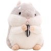 ifundom 5 Pièces Jouet En Peluche Hamster Oreiller Danimaux Jouet De Poupée Hamster Jouet En Peluche Pour Hamster Coussin Ha