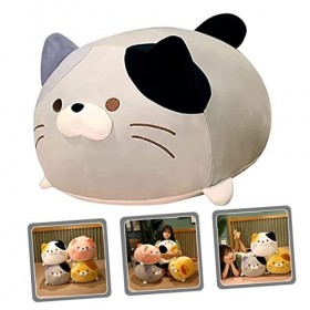 Toyvian 5 Pièces Oreiller Animal en Peluche Chaton Coussin en Peluche Animal Poupée Chat en Peluche Lit Poupée De Chat en Pel