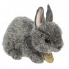 Aurora® Adorable lapin nain des Pays-Bas Miyoni® – Détails réalistes – Compagnon chéri – Gris 19,1 cm