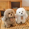 Peluches Jouet en Peluche Chien avec Laisse, Cadeau Animal for Enfants Et Filles, Poupée Mignonne en Peluche, Oreiller De Cou