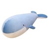 Animal en Peluche De Baleine, Peluche danimal De Baleine en Peluche, Oreiller Câlin De Requin en Peluche De Baleine, Oreille