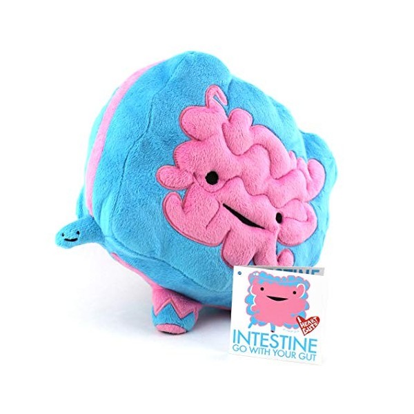 Immense Intestine Plush - Go With Your Gut! - I Heart Guts Series by I Heart Guts