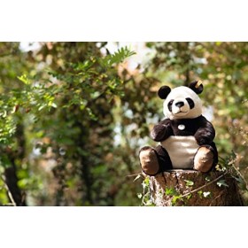 Steiff Teddies for Tomorrow Panda géant Pandi - 067877 - Multicolore - 40 cm
