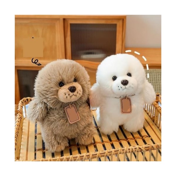 GRAVY Peluches Jouet en Peluche Chien avec Laisse, Cadeau Animal for Enfants Et Filles, Poupée Mignonne en Peluche, Oreiller 