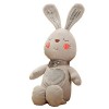 Jouet en peluche Décoration de la maison confortable coton doux rembourré en peluche fille garçon lapin forme coussin de cana