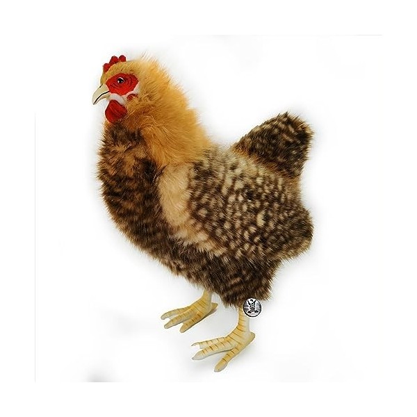 Kuscheltiere.biz Klara Peluche poule Glucke Marron