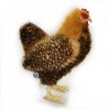 Kuscheltiere.biz Klara Peluche poule Glucke Marron