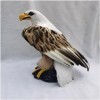 KH66ZKY 11.81 Pouces Simulation Eagle Jouet Fourrures Modèle Animal Modèle Réaliste Réaliste Simulation Modèle Animal Eagle A