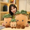 SQEQE Peluche succulente remplie de plante - Coussin en peluche douce - Cadeau pour enfants, garçons et filles Smile 2, 34 c