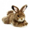 WWF - 15182002 - Peluche - Lapin Artic - 19 cm - Allongé