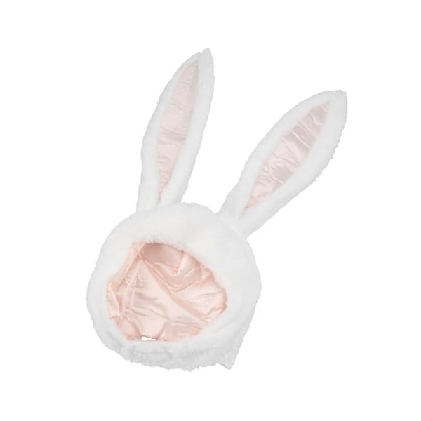 ibasenice 5 Pièces Chapeau Lapin Costume En Peluche Femmes Enfants Costume 2023 Chinois Nouvel An Costume Pâques Costume Pâqu