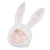 ibasenice 5 Pièces Chapeau Lapin Costume En Peluche Femmes Enfants Costume 2023 Chinois Nouvel An Costume Pâques Costume Pâqu