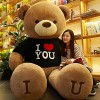 TONATO 80-140 cm Ours en Peluche Toy Doll Cute Doll Girl Hug Bear Dol Dol Dold Gift Gift,120cm