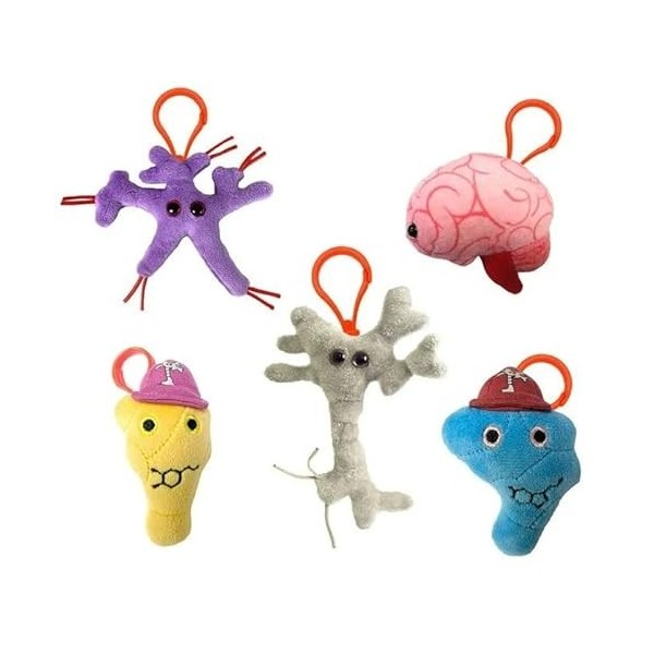 GIANTmicrobes Coffret cadeau sur le thème de la science du cerveau – Apprenez les neurosciences avec ce lot de 5 porte-clés e