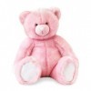 Histoire dOurs Peluche Collection Moyenne