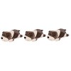 Toyvian 5 Pièces Poupée Sharpei Jouet en Peluche pour Enfants Animal en Peluche Lesté Oreiller en Peluche pour Chien Cadeau D