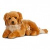 Peluche chien Golden Retriever Finley Howawart XXL