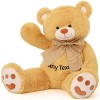 MorisMos Idee Cadeau Personnalisé de Noël, 120cm XXL Ours en Peluche Rose Grand avec Nom, Kawaii Nounours Géant Mignonne Doux