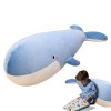 Aizuoni Animal en Peluche de Requin | Jouet Animal Doux en Peluche - Oreiller câlin de Requin Mignon, Animal en Peluche de De