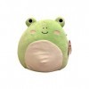 Squishmallow Peluche officielle Kellytoy Wendy The Frog 28 cm