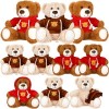 Syhood Lot de 10 ours en peluche douce de 35,6 cm avec capuche pour anniversaire, fête prénatale, Noël, mariage, Saint-Valent