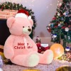 MorisMos Idee Cadeau Personnalisé de Noël, 130cm XXL Ours en Peluche Vert Grand avec Nom, Kawaii Nounours Géant Mignonne Doux