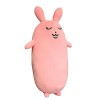 Rianpesn Oreiller en Peluche Lapin,Oreillers câlins pour Dormir - Lapin Pâques, Jouet poupée en Peluche danimal Doux, Cadeau